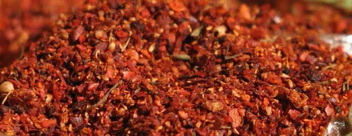 Trockene Adjika, Gewürz aus Georgien 40 g - FruchtSchmaus GmbH