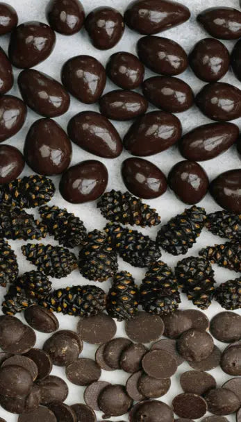 Tannenzapfen in dunkler Schokolade 60gr - FruchtSchmaus GmbH