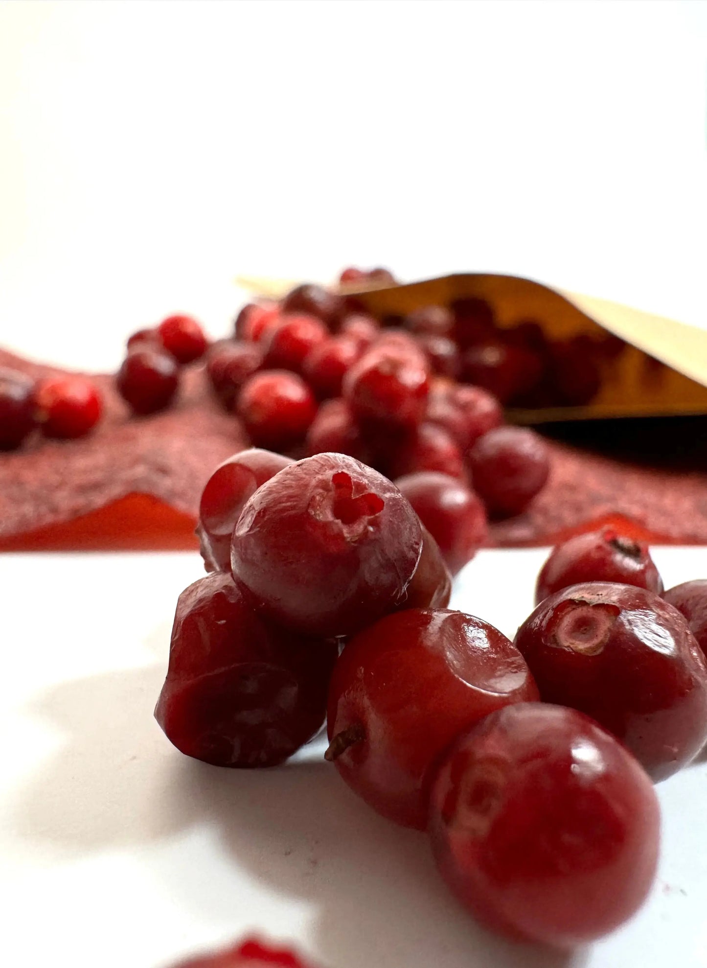 Fruchtleder Moosbeeren 40gr - FruchtSchmaus GmbH
