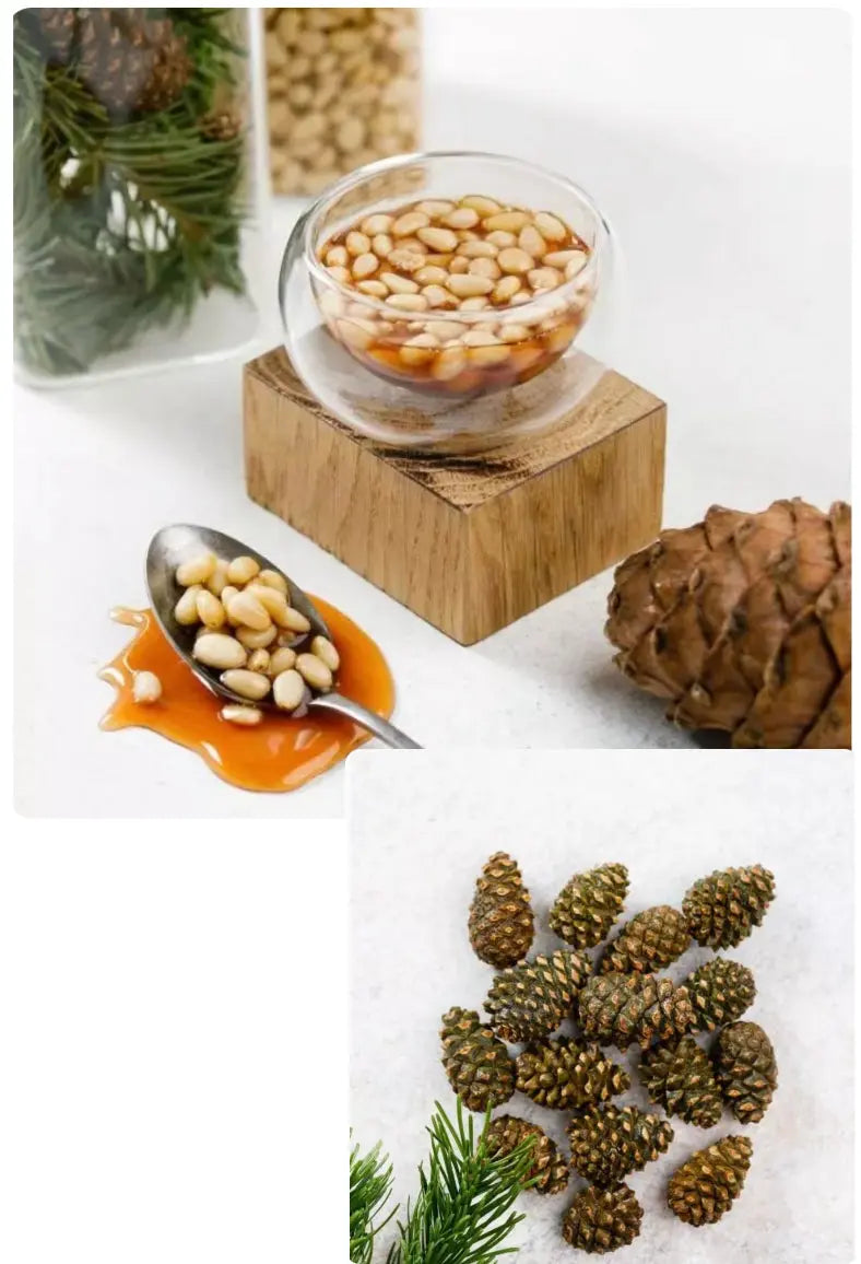Pinienkern in Sirup 100gr - FruchtSchmaus GmbH