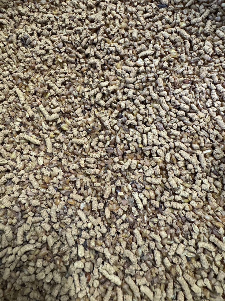 Buchweizentee, 100 gr - FruchtSchmaus GmbH